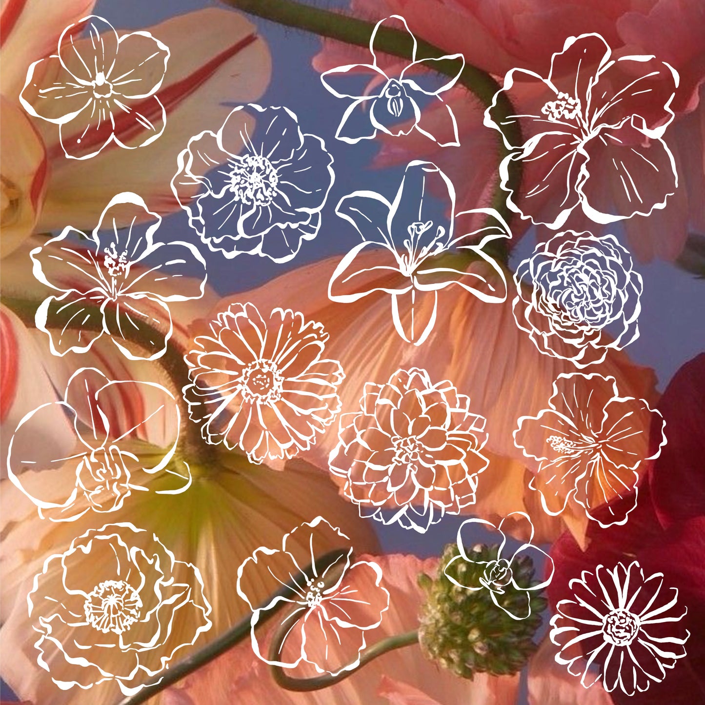 Hand Drawn Flowers Clipart Set, Botanical PNG SVG