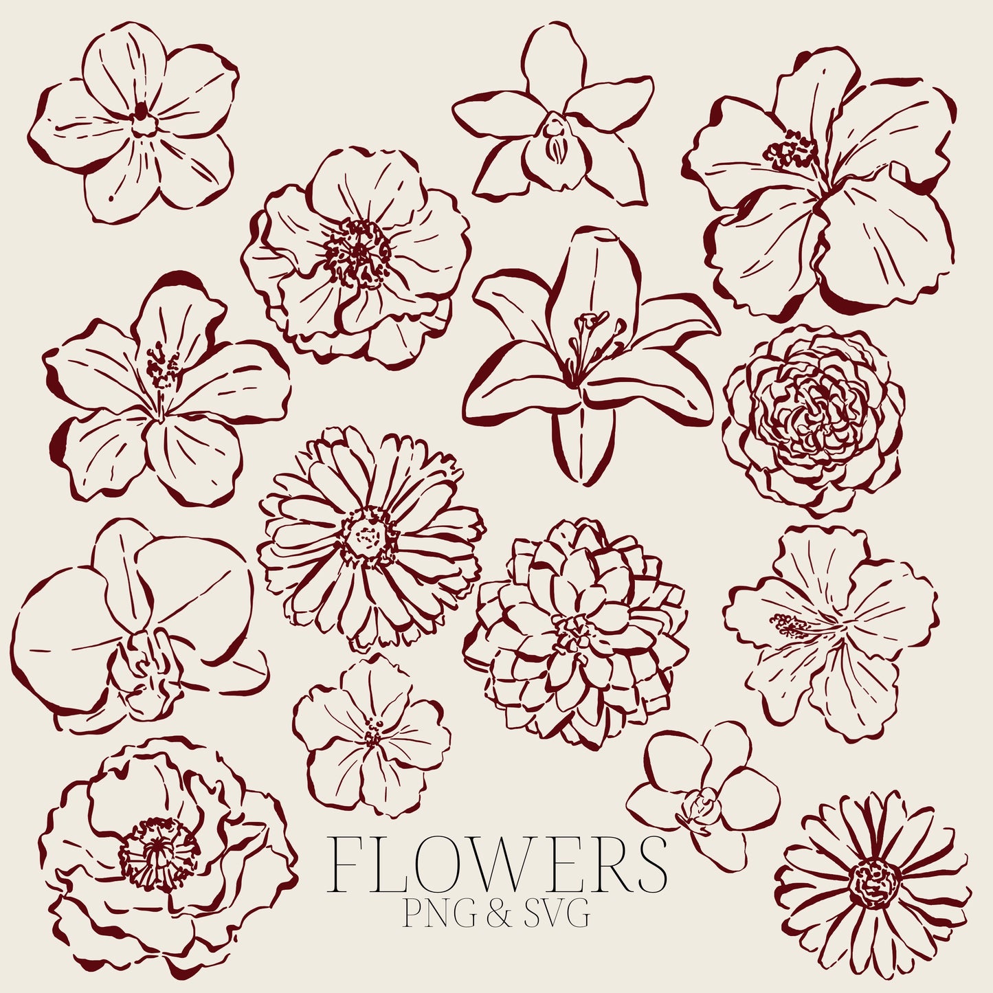 Hand Drawn Flowers Clipart Set, Botanical PNG SVG