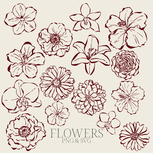 Hand Drawn Flowers Clipart Set, Botanical PNG SVG