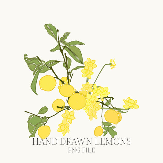 Hand Drawn Flowers PNG File